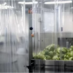 CFIA Food Processing Curtains For Wash Down