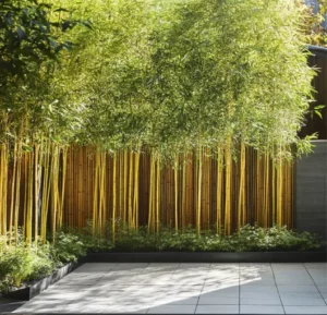 easy-to-install-bamboos-for-wind-blocking