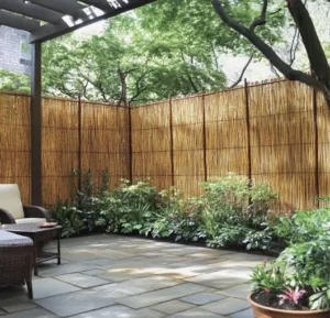 low-maintenance-bamboos-for-wind-blocking