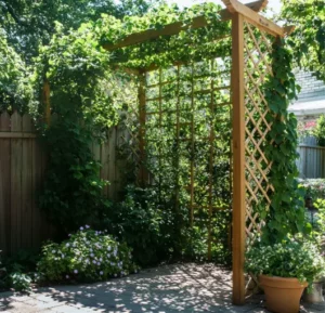 sample-trellis-with-climbing-vines-for-wind-blocking